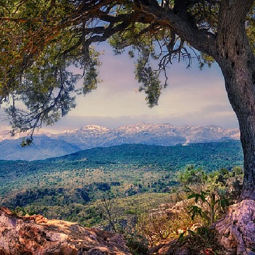 mountain in crete